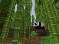 (Image via Minecraftseedhq)